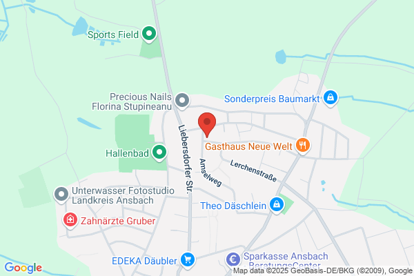 Katzen-Hotel "Vier Pfoten"