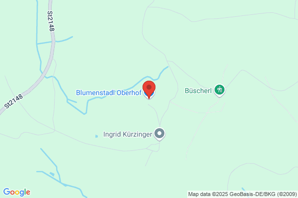 Blumen Heinz Stille