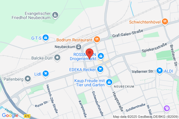 Erdbories Immobilienverwaltung GmbH