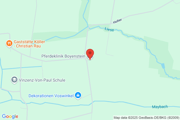 Pferdepraxis auf Boyenstein