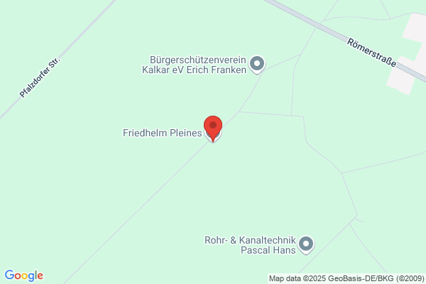 Friedhelm Pleines