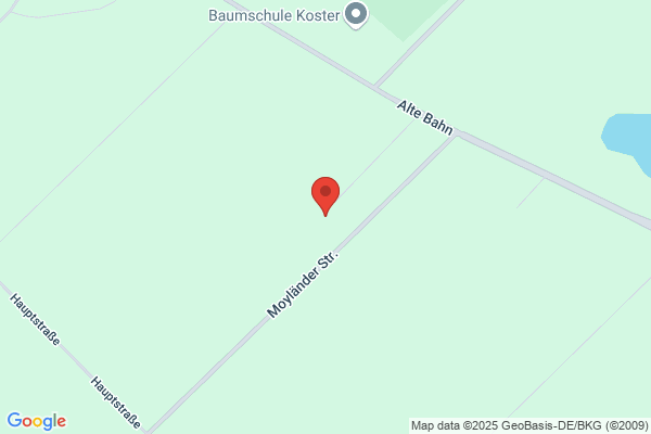 Loock GmbH, Heinrich