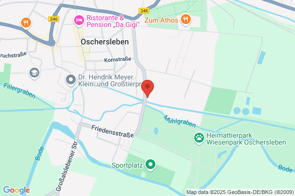 Grit Köllmer