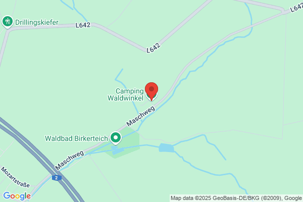 Waldwinkel