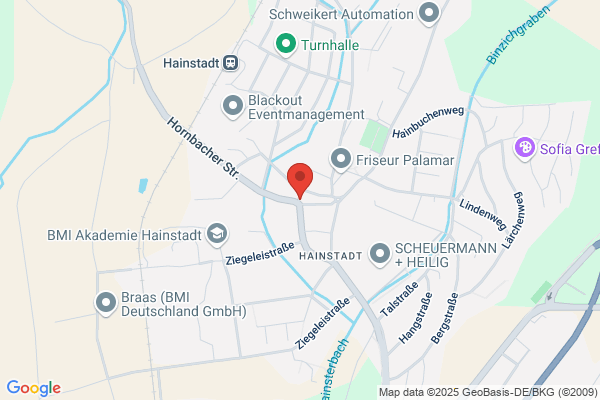 Hotel zum Schwanen