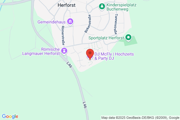 DJ McFly | Hochzeits & Party DJ
