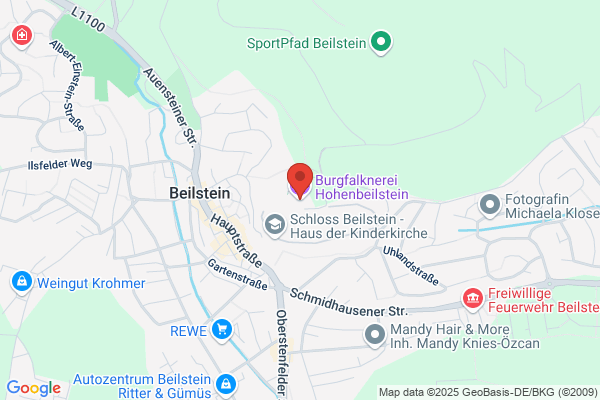Burgfalknerei