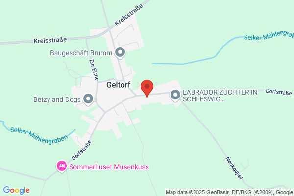 Gartenpflege & mehr