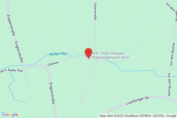 Inh. Olaf Knäuper Katzenpension Kein Tierheim