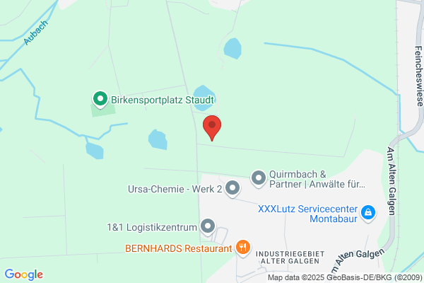 Gestüt Birkenhof Franz Sager