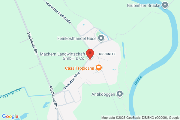 Machern Landwirtschaft GmbH & Co. KG