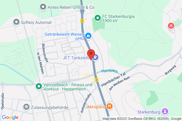 Baumpflege Papenberg