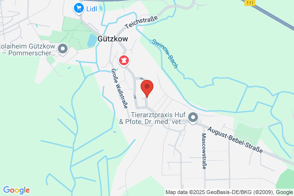 Diakonie-Sozialstationen Peene gGmbH