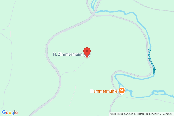 H. Zimmermann