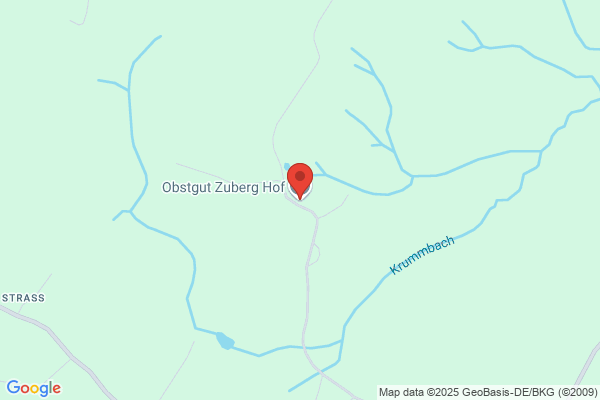 Gustav Holzwarth jun.