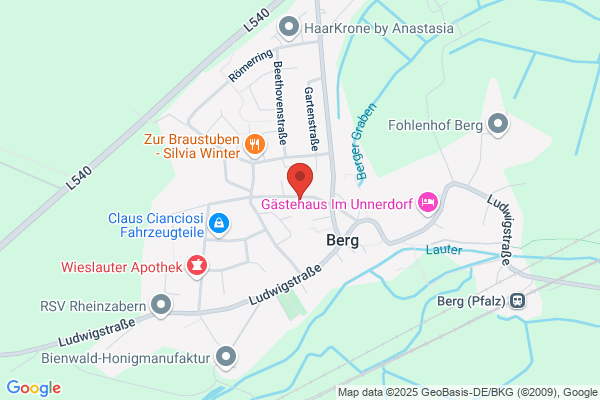 Dippel's Fahrschule