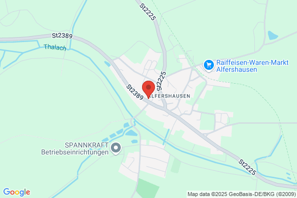 Elektro Geim