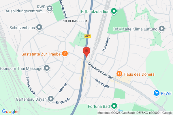 Pascher's Reisen