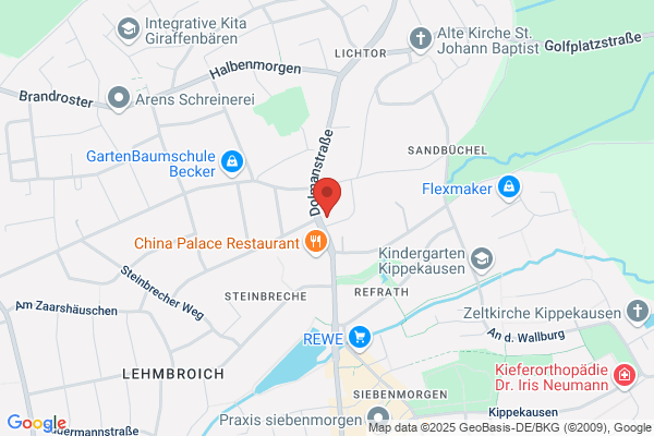Automobile Schmitter