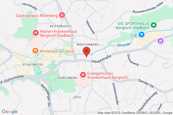 Das Netzwerk