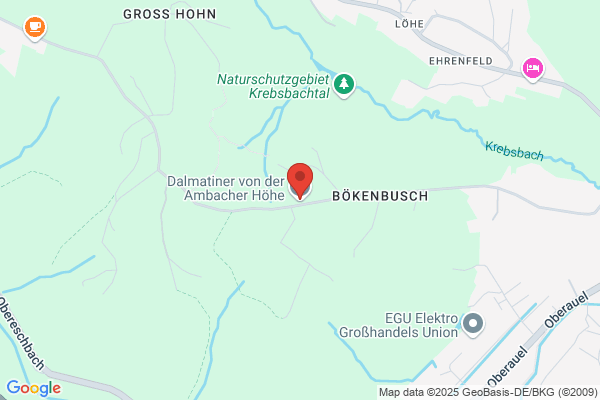 Norson Beteiligungsgesellschaft mbH