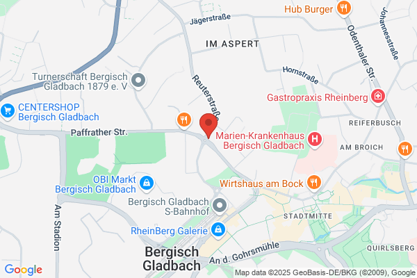 Bündnis 90/Die Grünen die Grünen