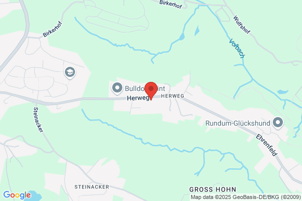 virtus risk UG (haftungsbeschränkt)