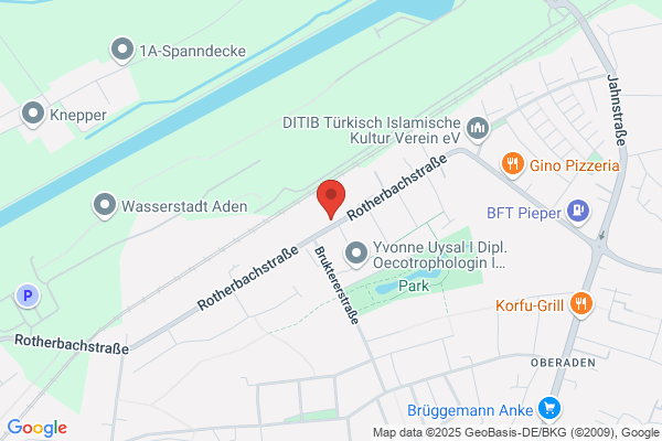 Stuckgeschäft Ralf Nowazik
