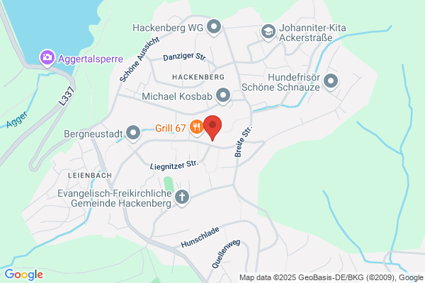 Berg-Apotheke