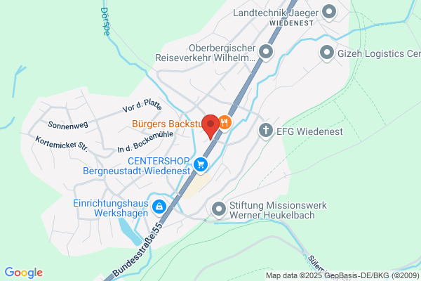 Wiedenau