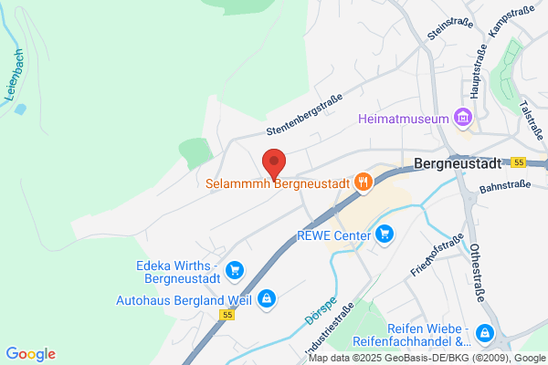 Steffen Werkshage