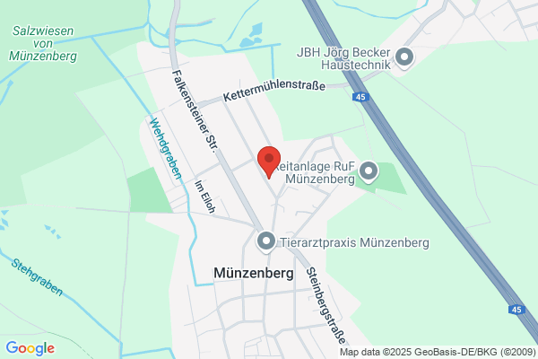 Hundepflege von A-Z - Ina Förtsch