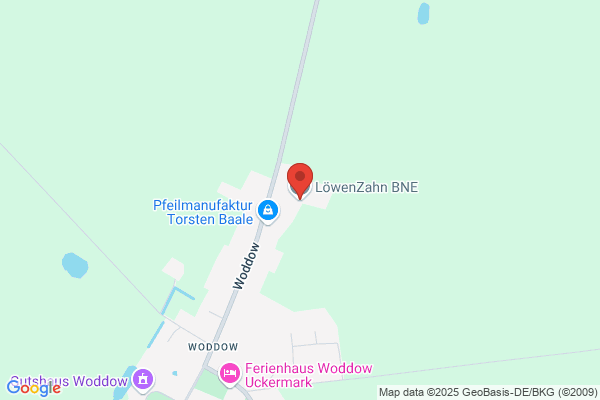 Löwenzahn