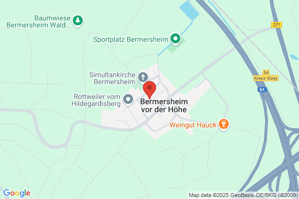 Ortsgemeinde Ortsbürgermeister