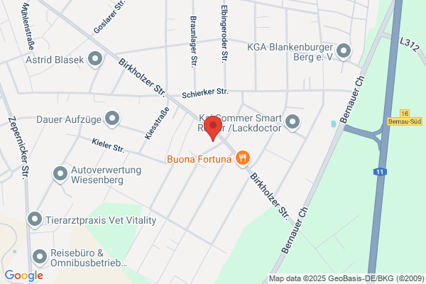 Blumen Schmidt