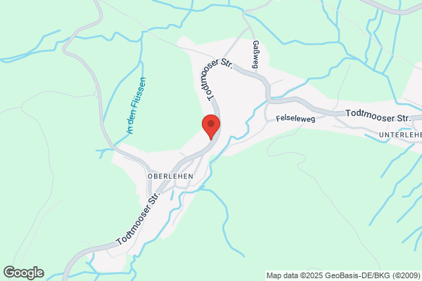 Schwanen