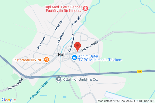 Rübsamen