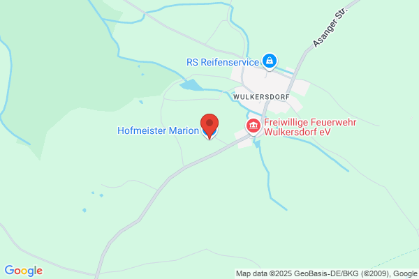 Hofmeister Marion