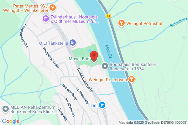 Heinrich Burger