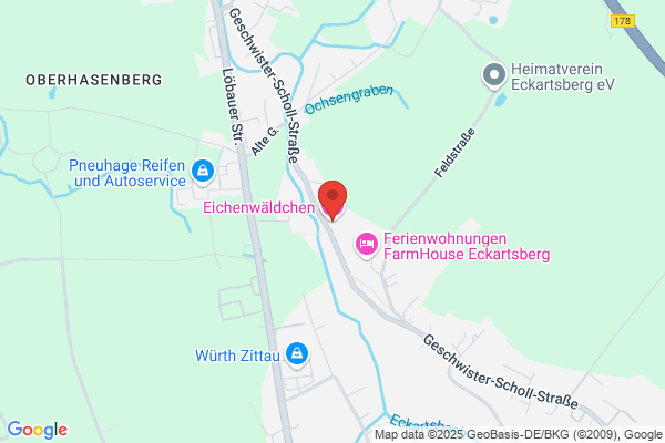 Eichenwäldchen