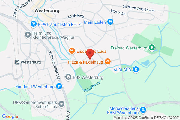Realschule plus