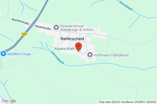 Alpaka-Walk