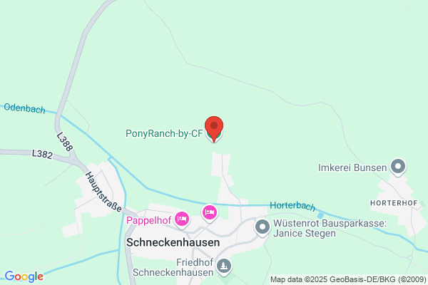 Ponyranch Kunterbunt