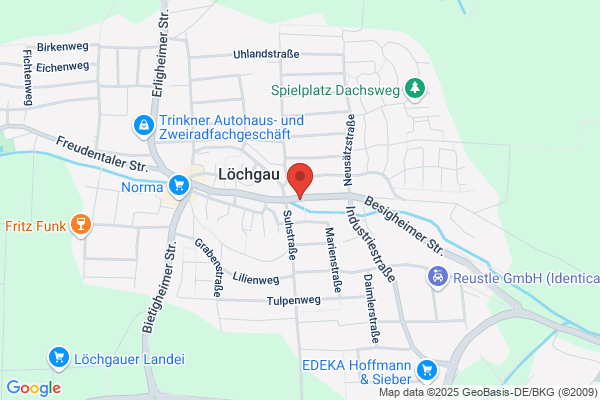 bild-media