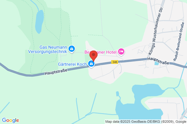 GAS Neumann Heizung/Sanitär GmbH & Co. KG