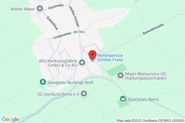Hagelschadenbeseitigung ATS Schiller Park- und