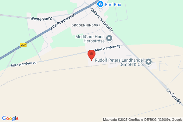 salutogenes Coaching und Natur-Coaching