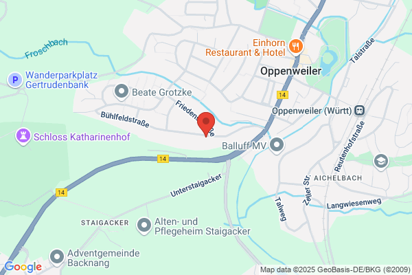 Koch - Widmann