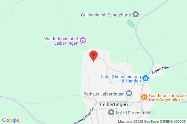 Riester Holzbau GmbH