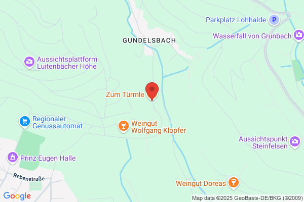 Falk Tremmel